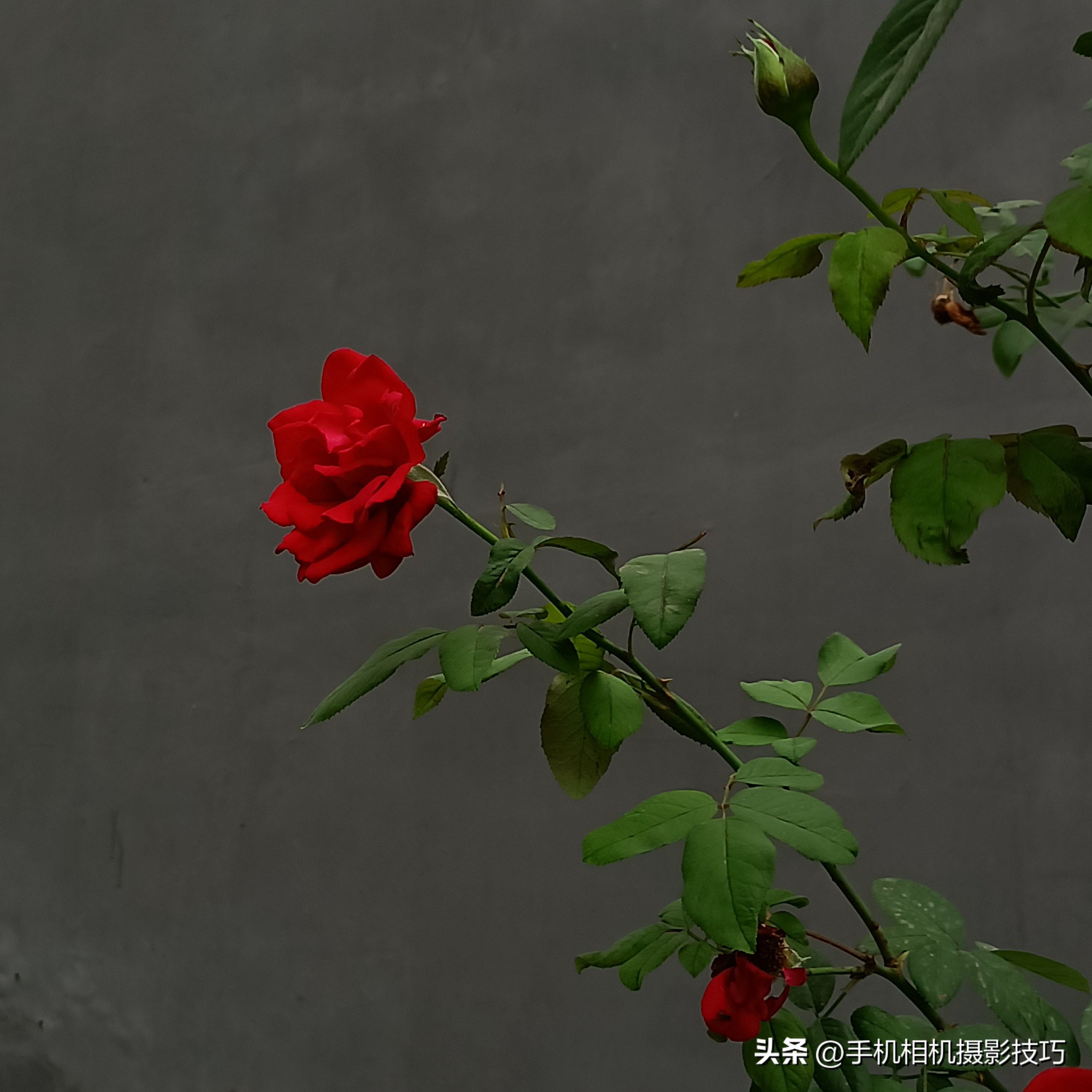 最有违和感的照片,盘点那些毫无违和感的图片