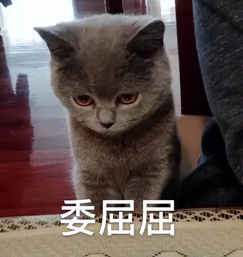 上班期间胳膊摔骨折算工伤吗,居家办公受伤怎么办