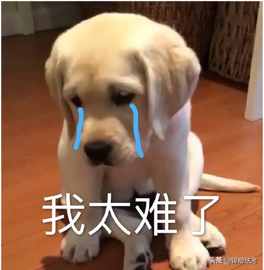 罗翔与柏浪涛哪个更适合法考小白,法考讲刑法刘凤科和罗翔哪个好