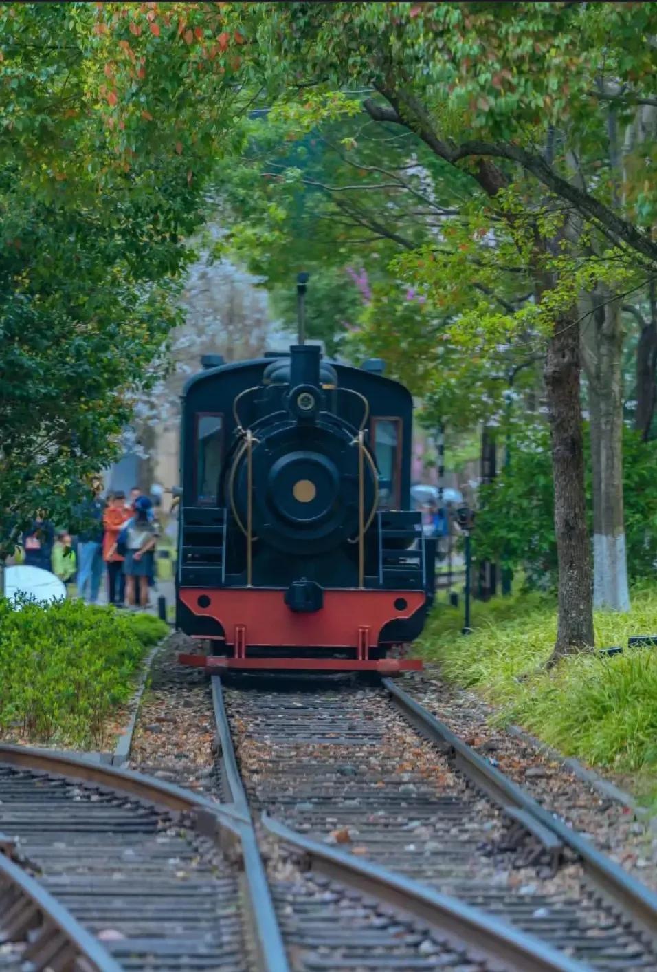 杭州旅游攻略三天自由行全攻略,杭州周边12月份杭州旅游攻略