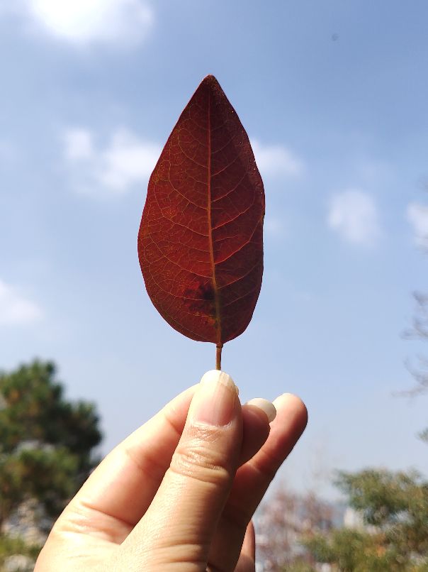 先心病寿命,有先心病的人能活多久