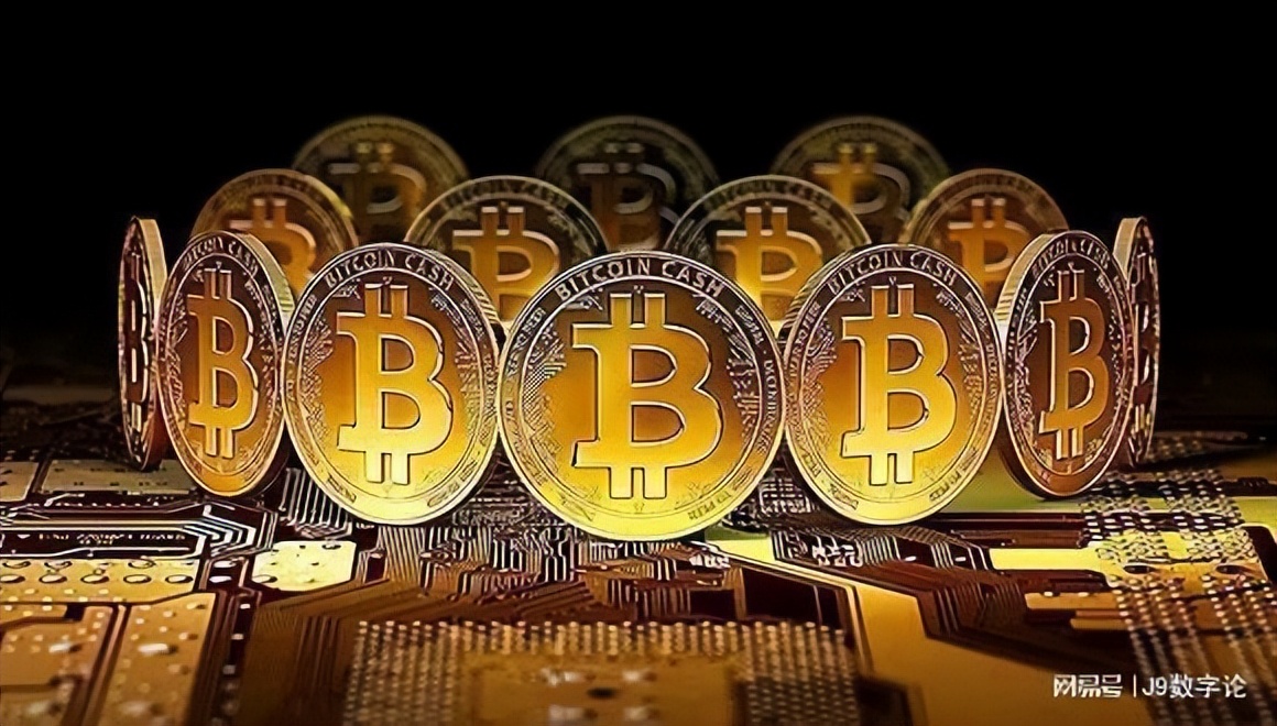 几种数字货币的区别,私人数字货币与加密数字货币