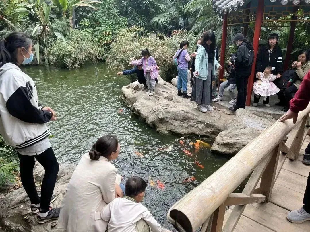 天津房车公园露营基地,一张天幕露营