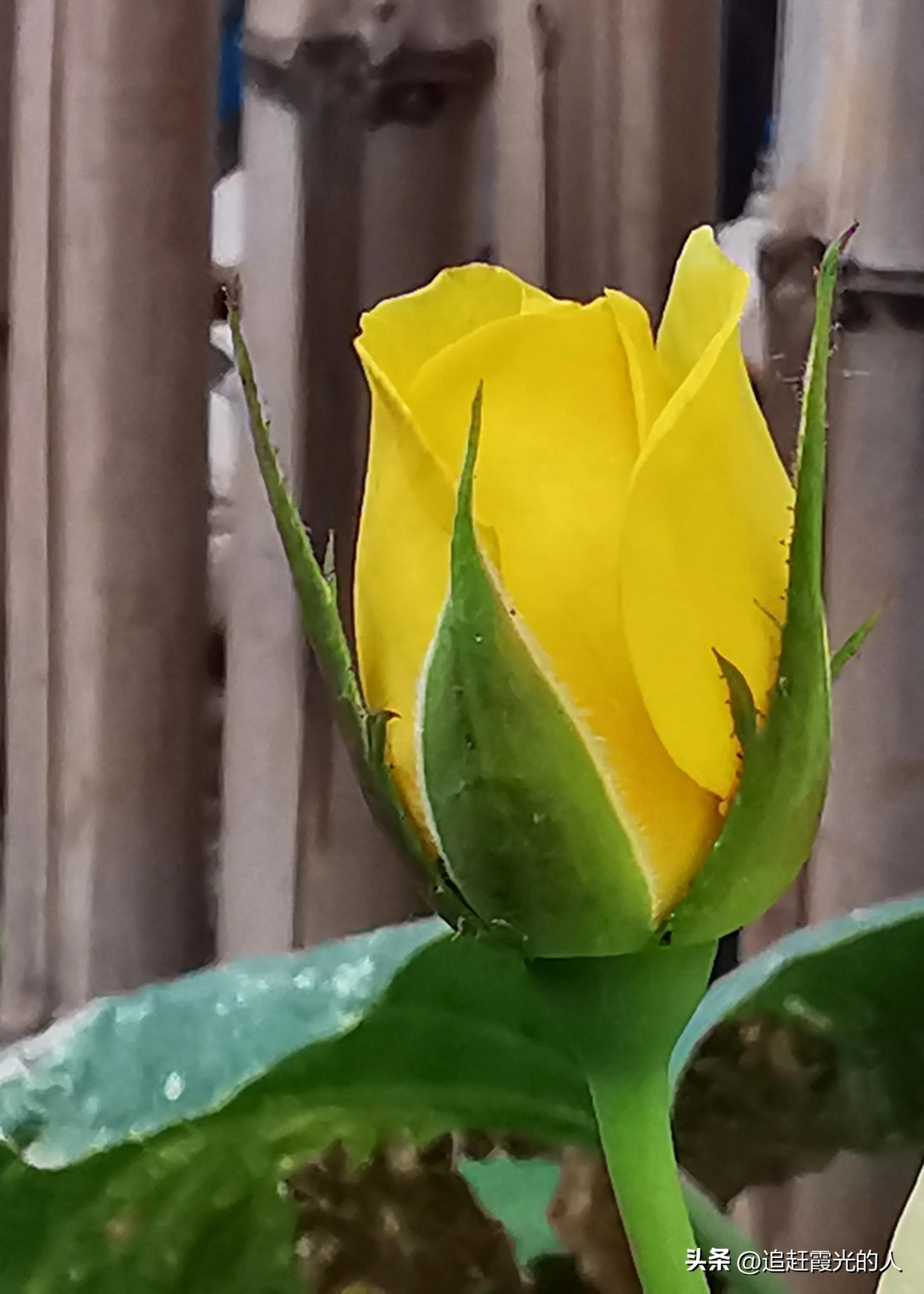 在哪里能租到北京的农家小院,北京哪里可以租农村小院