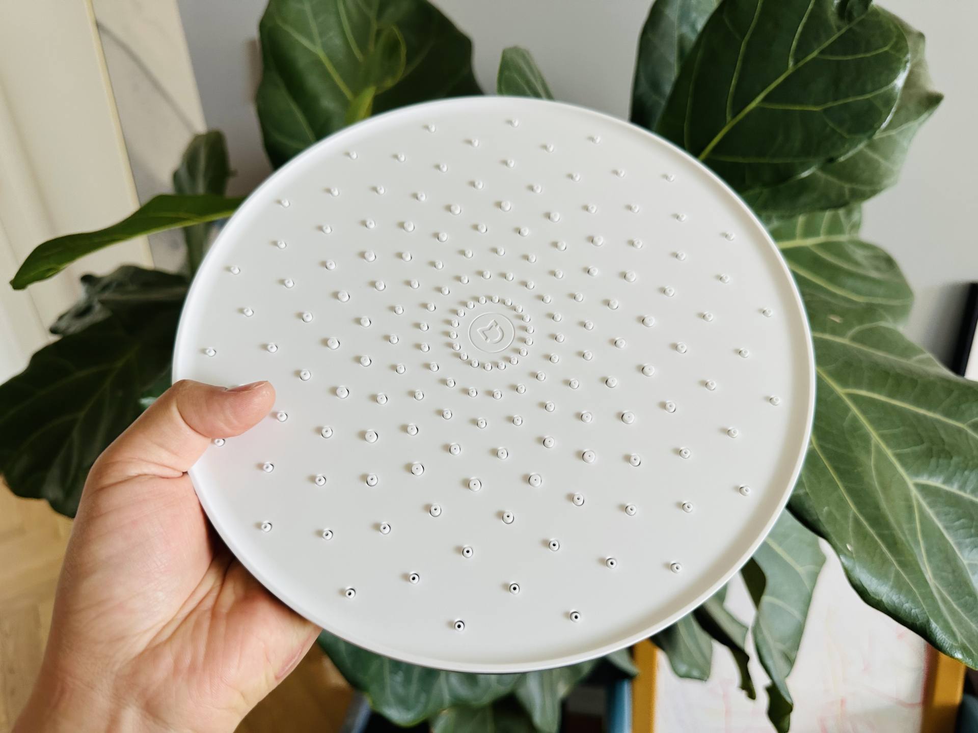 绫冲鎺ф俯娣嬫荡鑺辨磼s1璐ㄤ繚澶氫箙,绫冲娣嬫荡鑺辨磼s1鏄亽娓╄姳娲掑悧