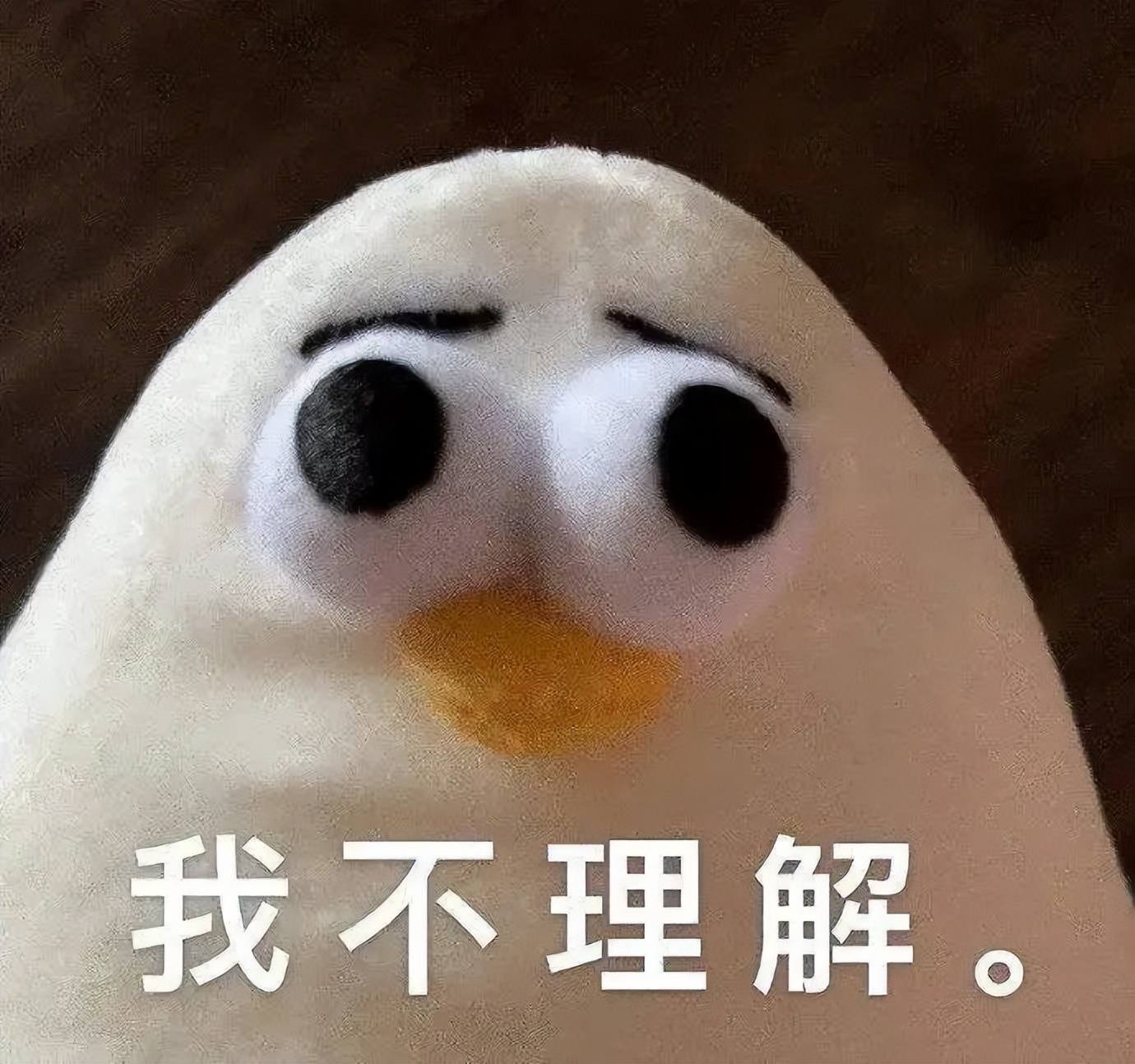 *裤内**都被高压锅煮烂了,为啥我的妇科病还没好?