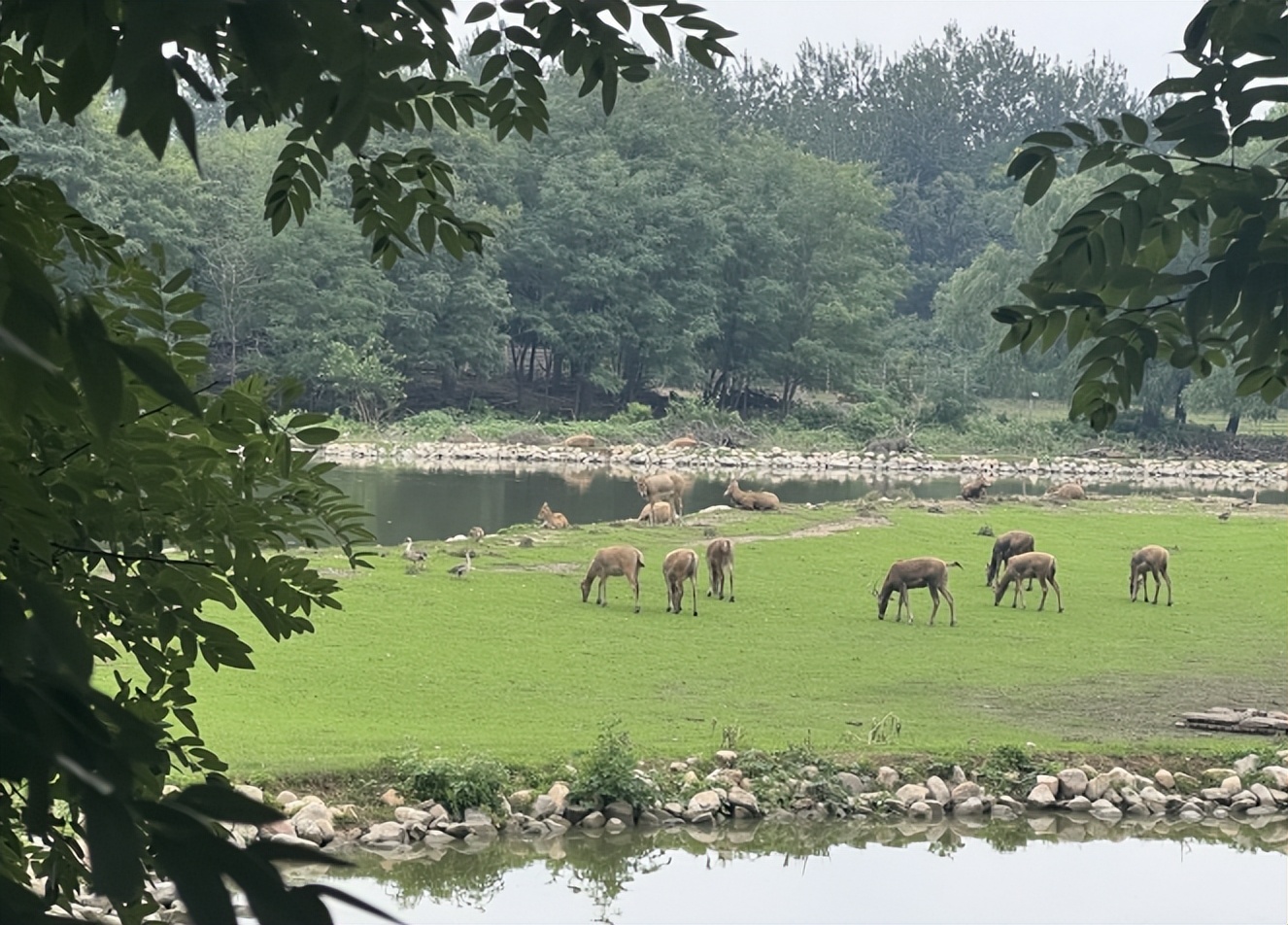 生态环境科普进校园,生态环境保护课程入课堂