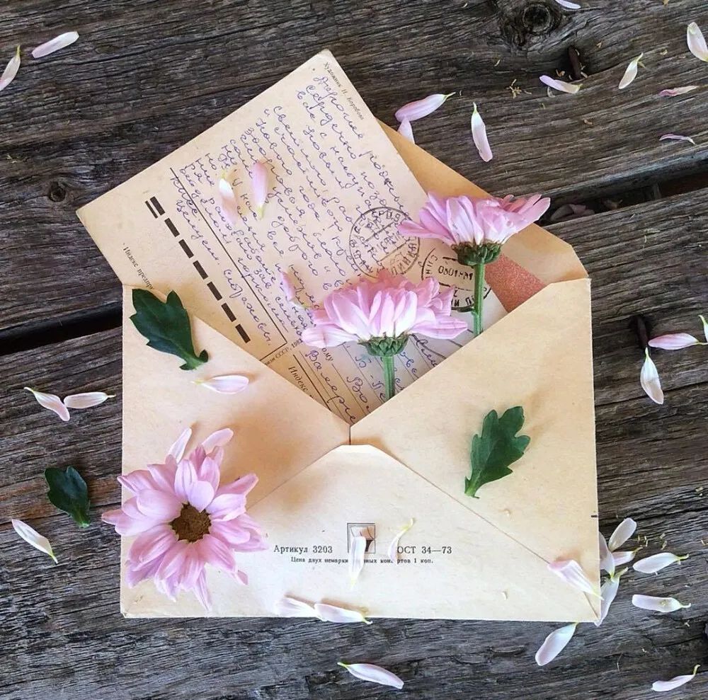 棋逢对手第四部,棋逢对手第五部3