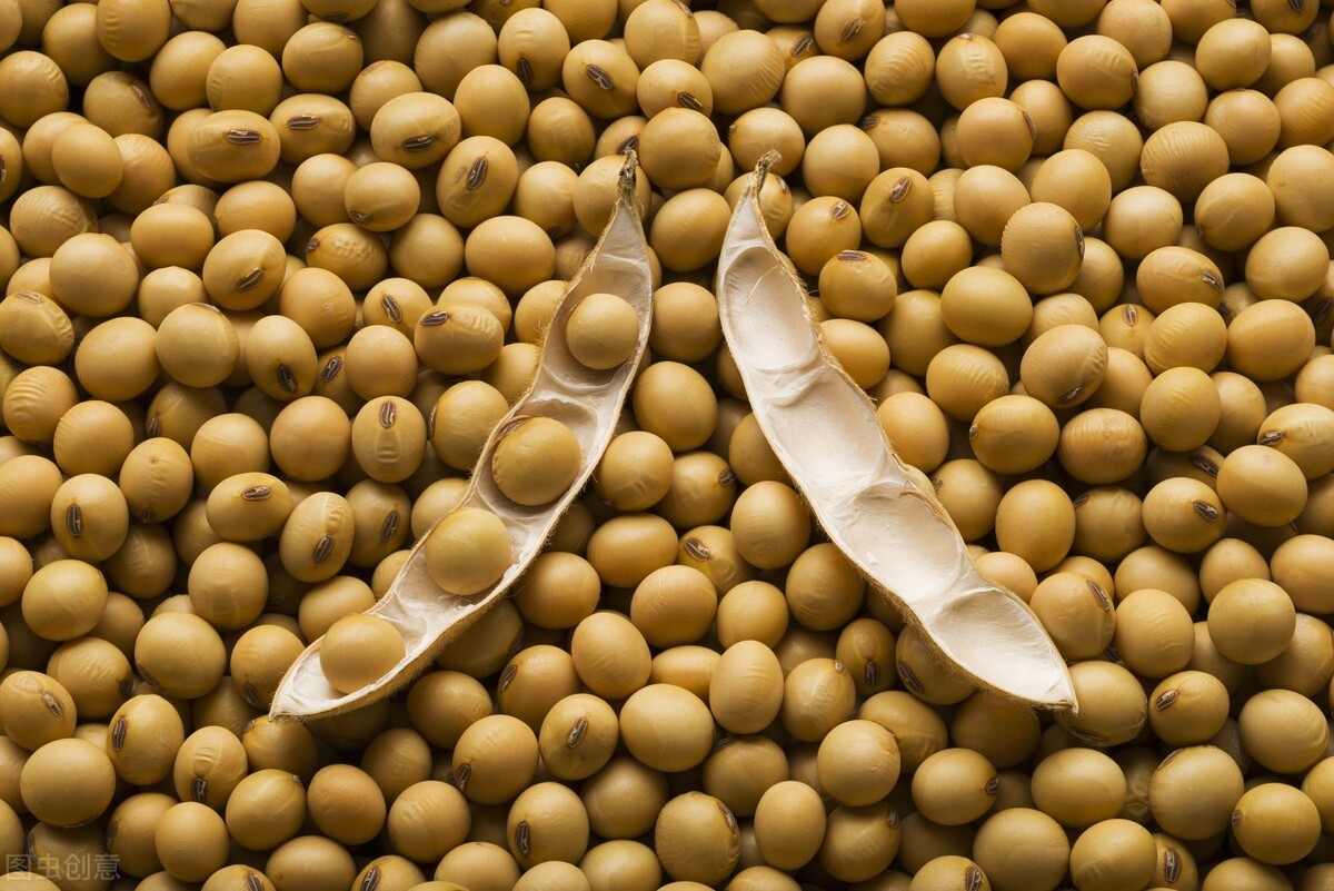 非转基因大豆价格最新行情,进口大豆价格最新行情走势