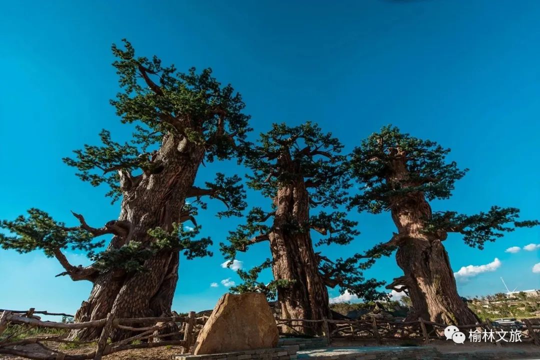 榆林神木神奇的地方,县长带你看横山