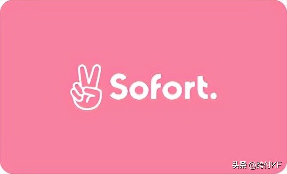 德国常用网上支付平台,德国网上购物支付方式