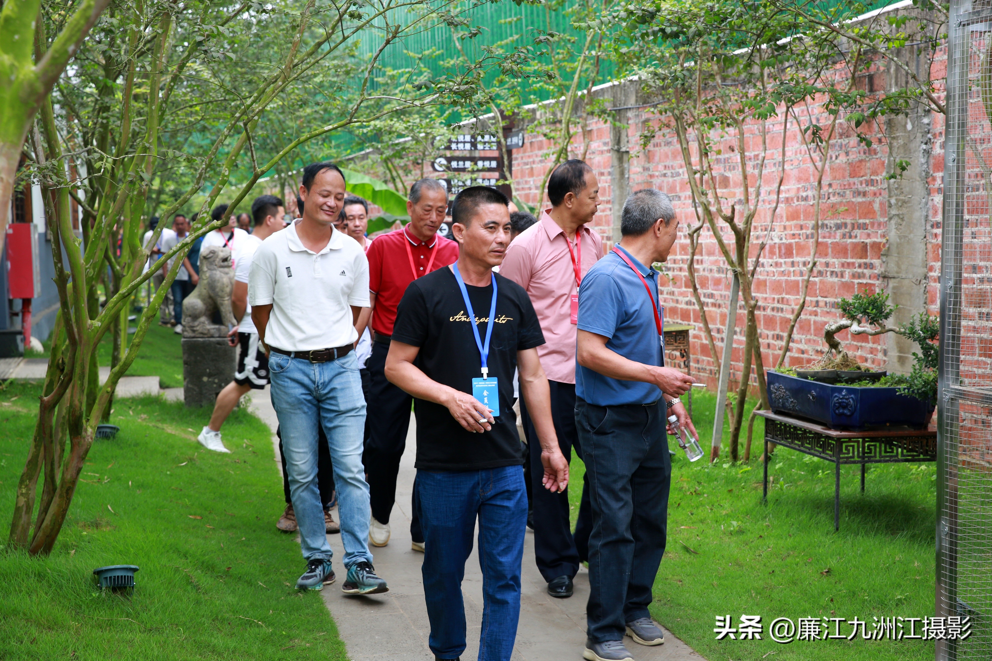 最高端的盆景展,一场惊艳的盆景展