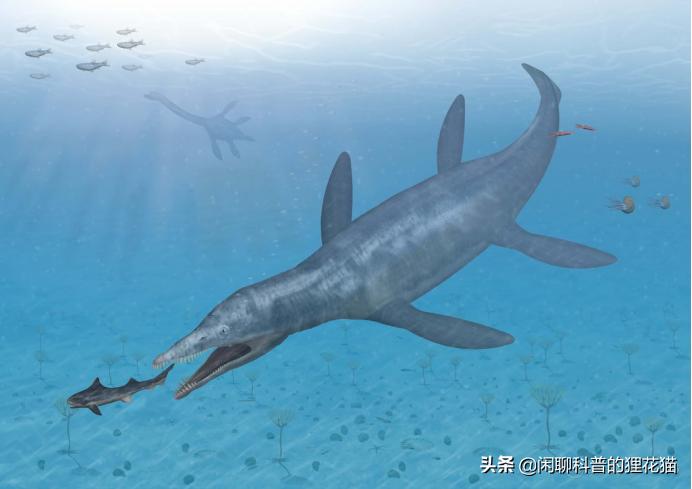 寒武纪三叶虫捕食者,十大最可怕的史前海洋巨兽