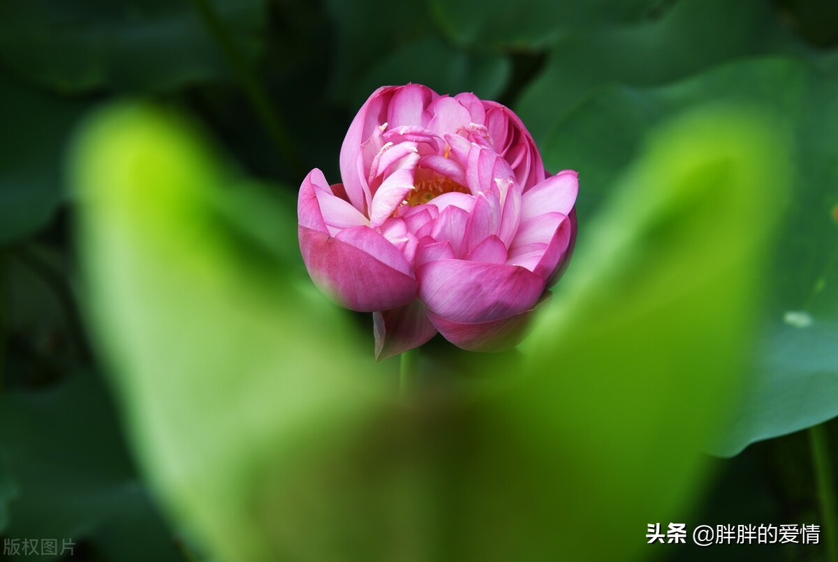 人生是一场追求生活是一种领悟,生活需要磨练人生更需要洞悟