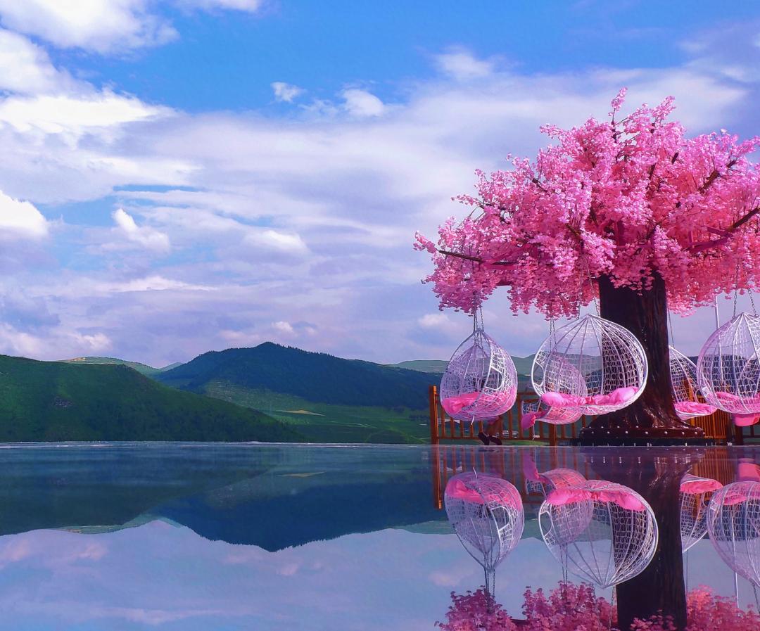 明天！这些地方为妈妈安排上！