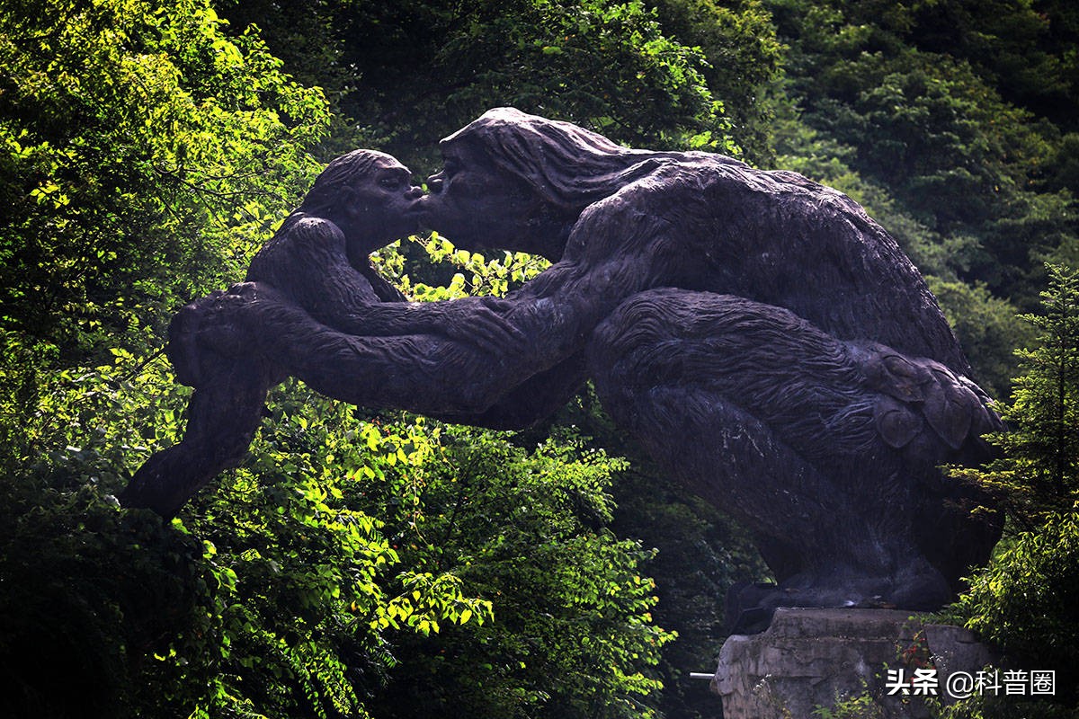 神农架深处被列为禁区的现象,神农架深处为何被列为禁区进不去