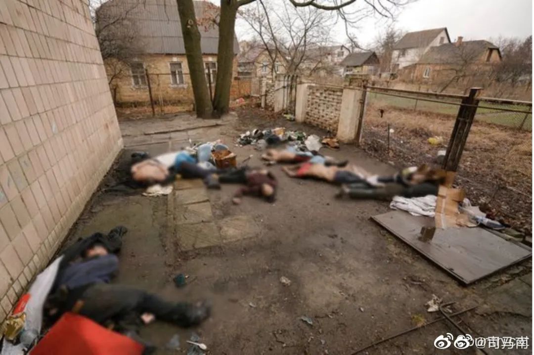 鍙搁┈鍗楄杩颁縿缃楁柉瀵煎脊,鍙搁┈鍗楄棰戝彊鍒╀簹