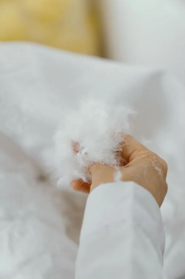 几千块钱羽绒服,花了几千块钱买羽绒服