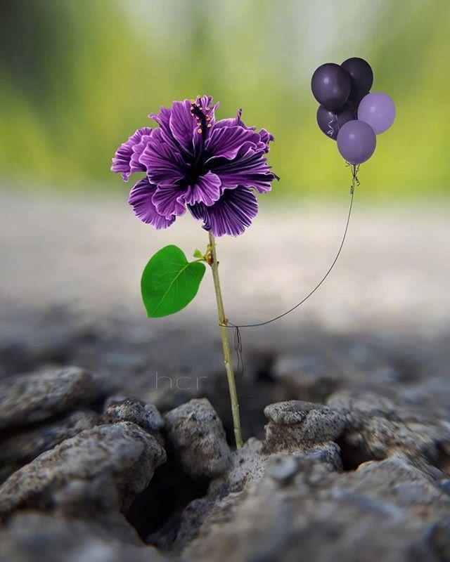 孤独寂寞伤感经典句子朋友圈,一个女人在他乡孤独伤感的句子