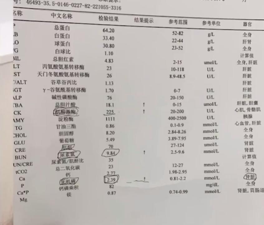 小狗趁主人不在家误食6颗布洛芬，狗主人：从吃到催吐不过2小时，幸好有一半白色颗粒没有消化