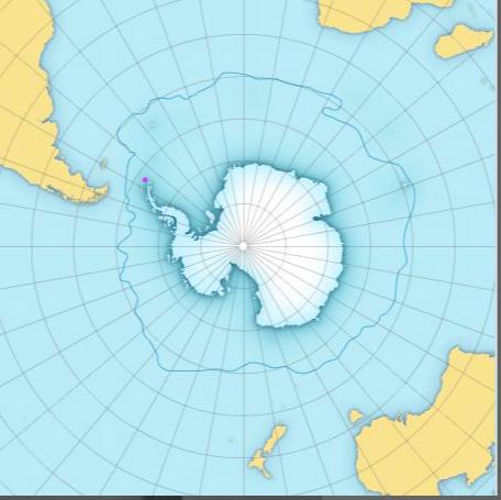 深海生物冥河水母,海底有多恐怖冥河水母