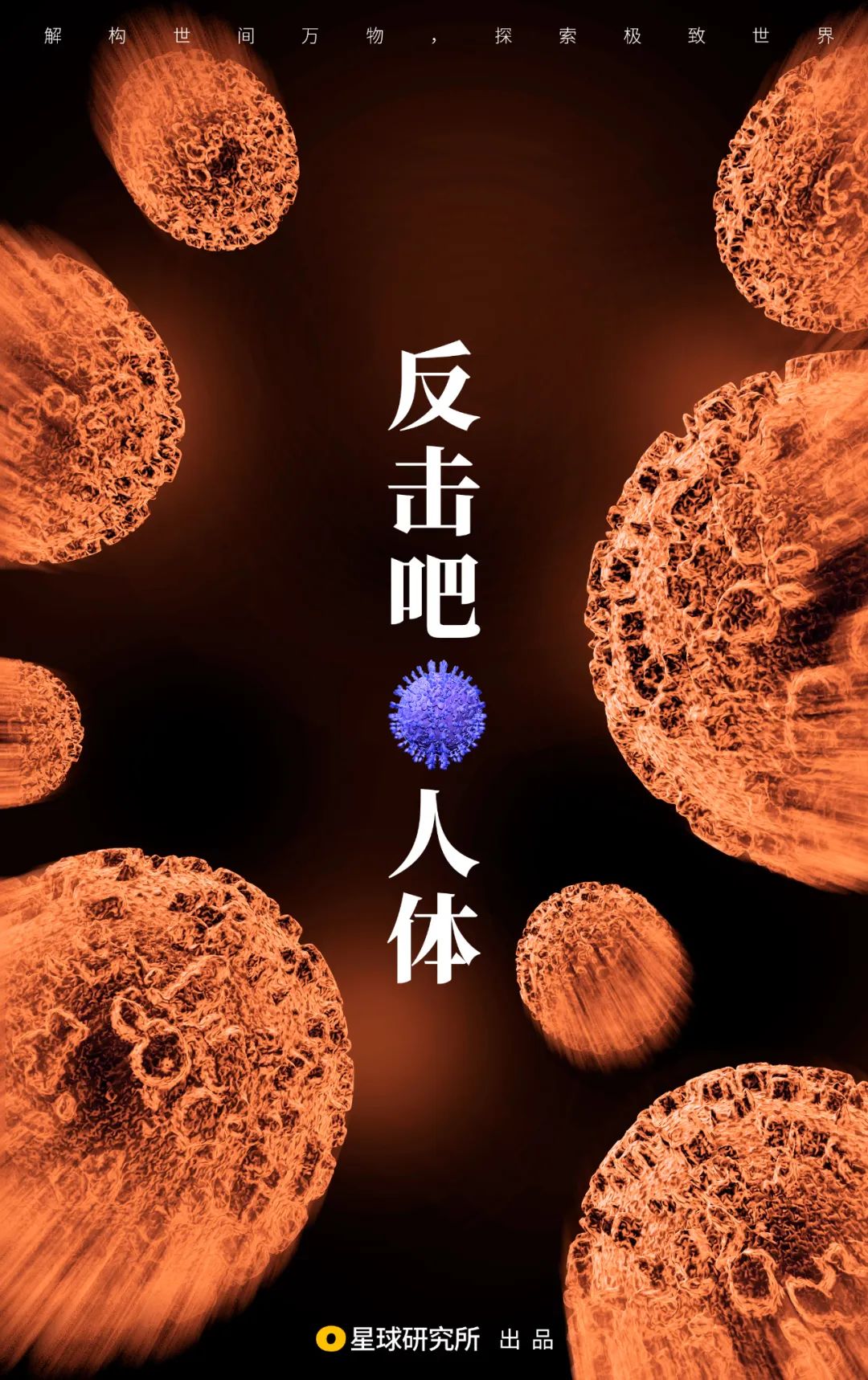 致与病毒搏斗的你！