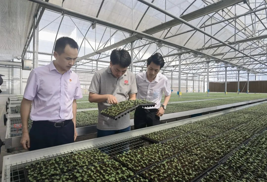 农业银行不断提升服务实体经济,服务实体经济农业银行