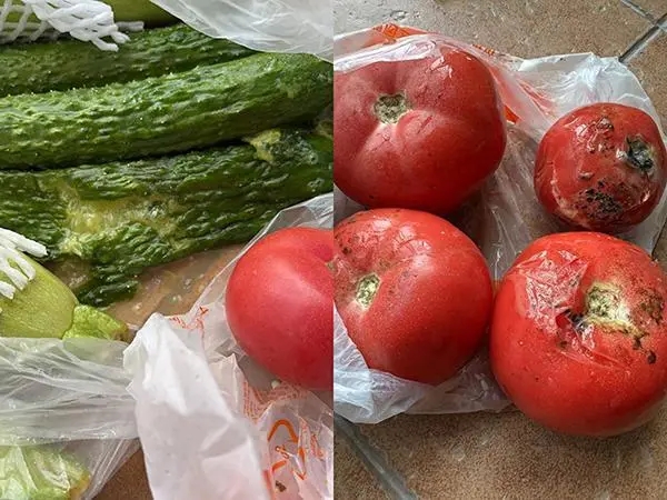 社区团购家电靠谱吗,社区团购供应链避坑