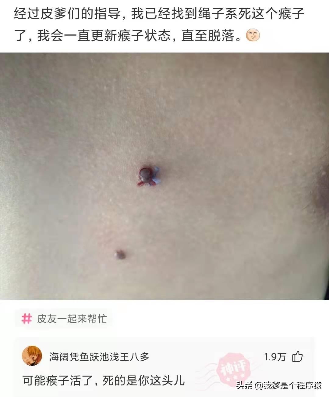 优选搞笑段子推荐,水果优选段子