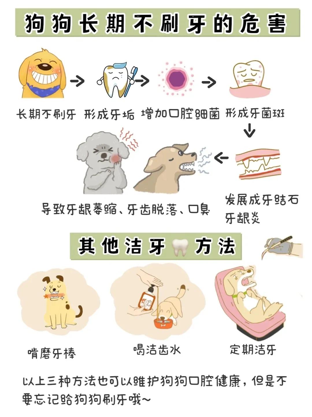 狗狗牙齿红肿怎么办,狗狗牙齿可以剪掉吗