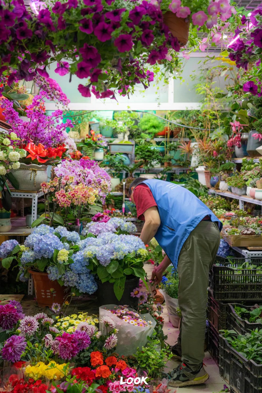 去逛逛二手市场,北京老市场有哪些