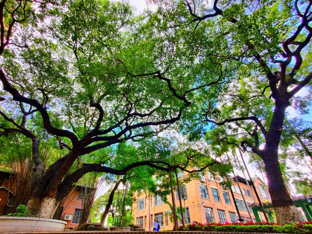 欢迎报读广州市电子商务技工学校,欢迎报读粤东技师学院