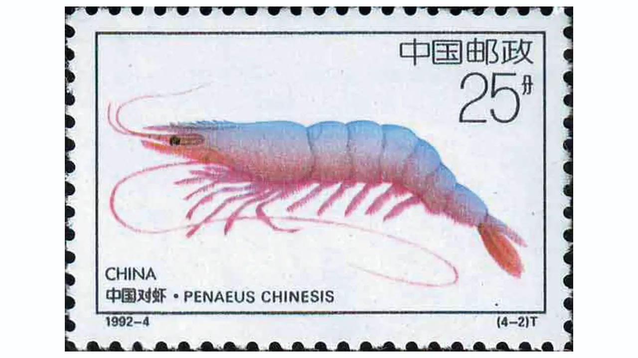 「每日一邮」1992-4《近海养殖