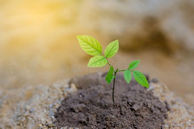 春天感染新冠的几率大吗,男性染上病毒有生育的影响吗