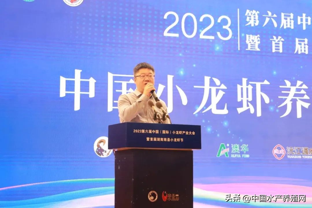 2023年南县小龙虾价格行情,南县小龙虾价格报价