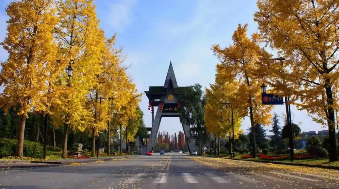 青城山镇：奋楫笃行，臻于至善，深耕青山热土！