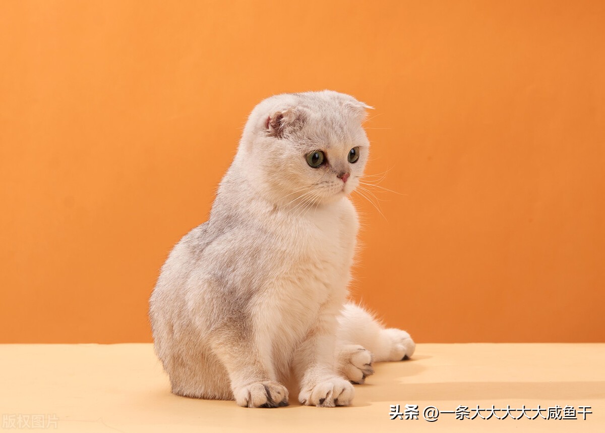 拼多多刷dsr黑科技,拼多多做dsr的方法