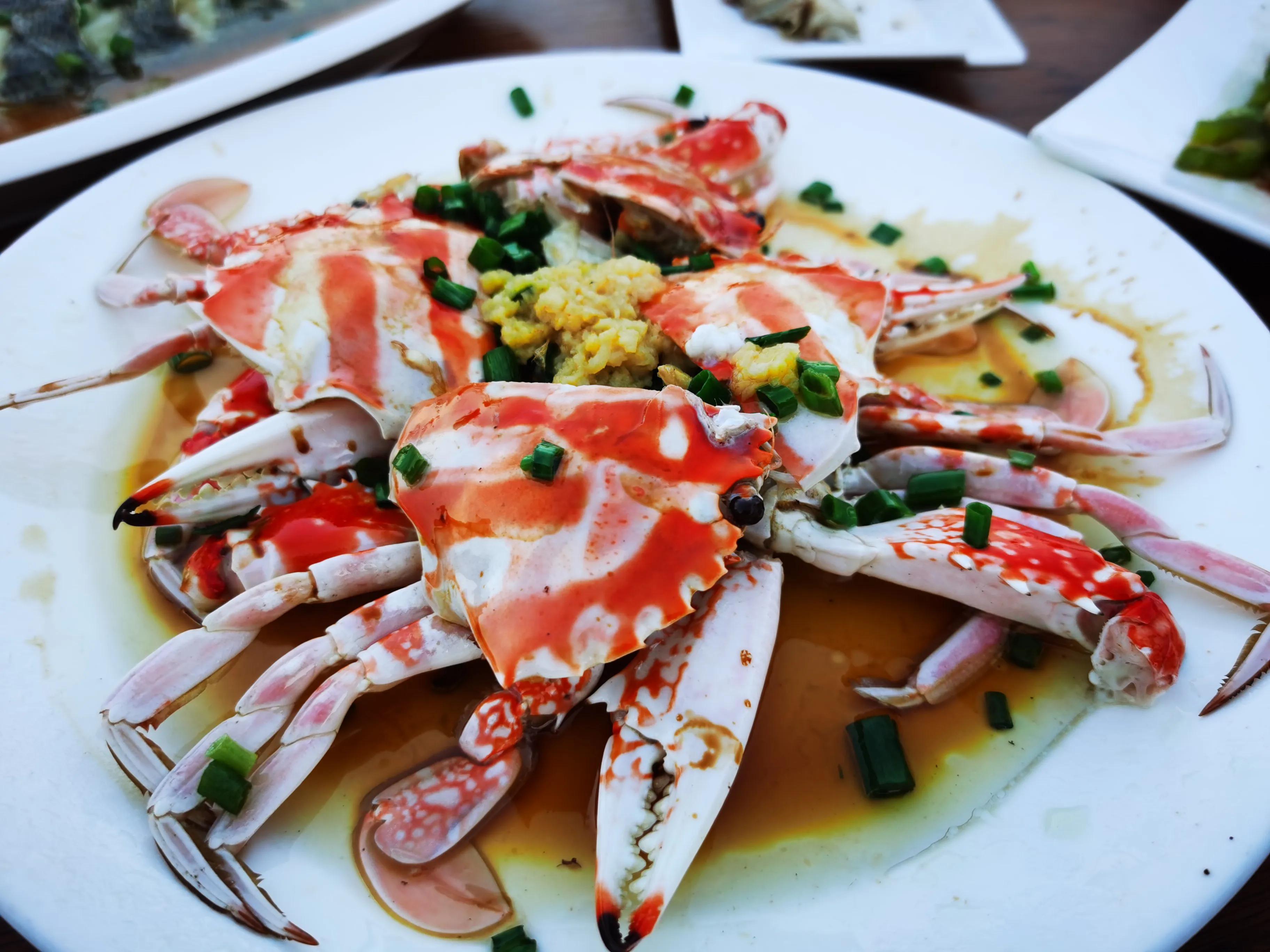 嵊泗花鸟岛和枸杞岛亲子游,嵊泗花鸟岛和枸杞岛哪个值得去