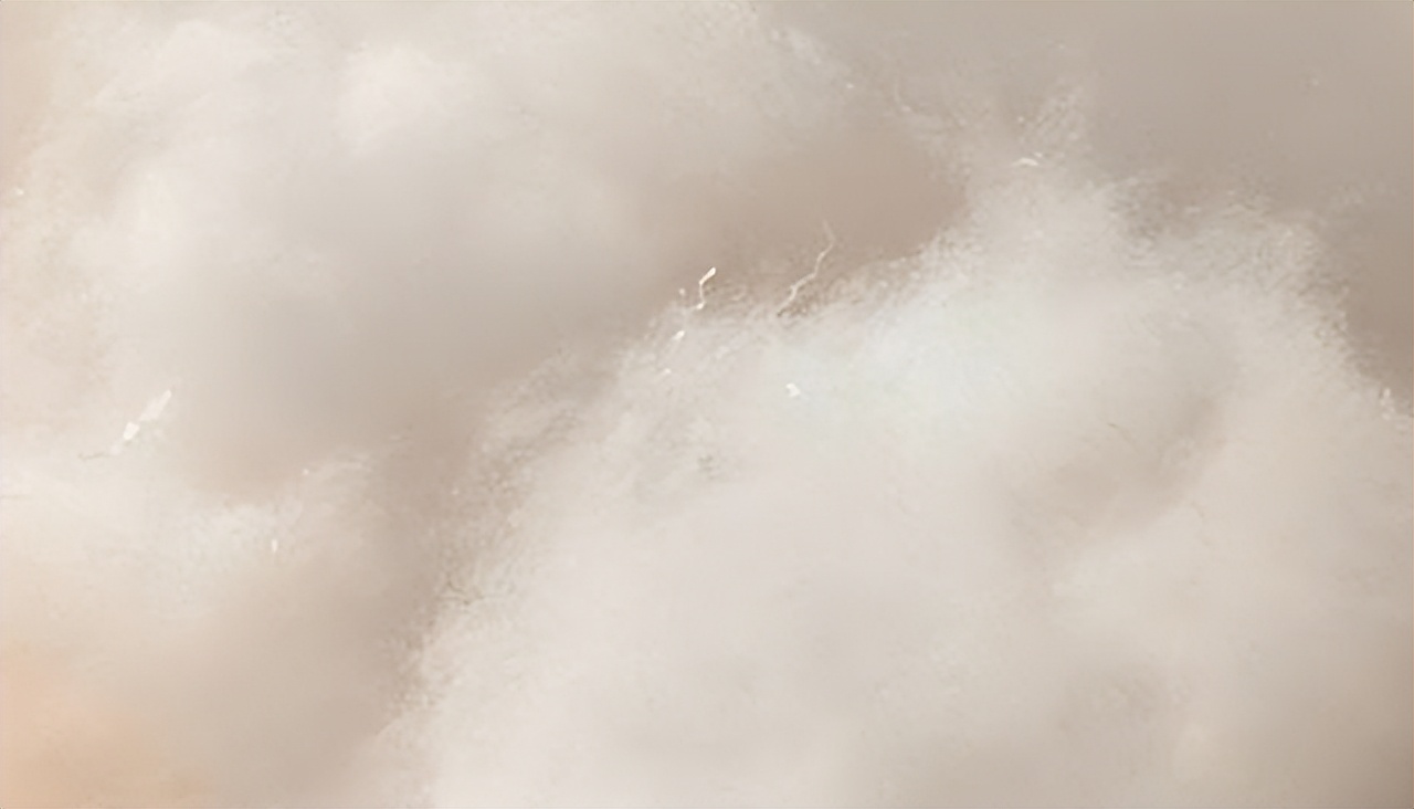 棉花做的棉袄和羽绒服哪个更保暖,羽绒服和棉袄哪个更保暖