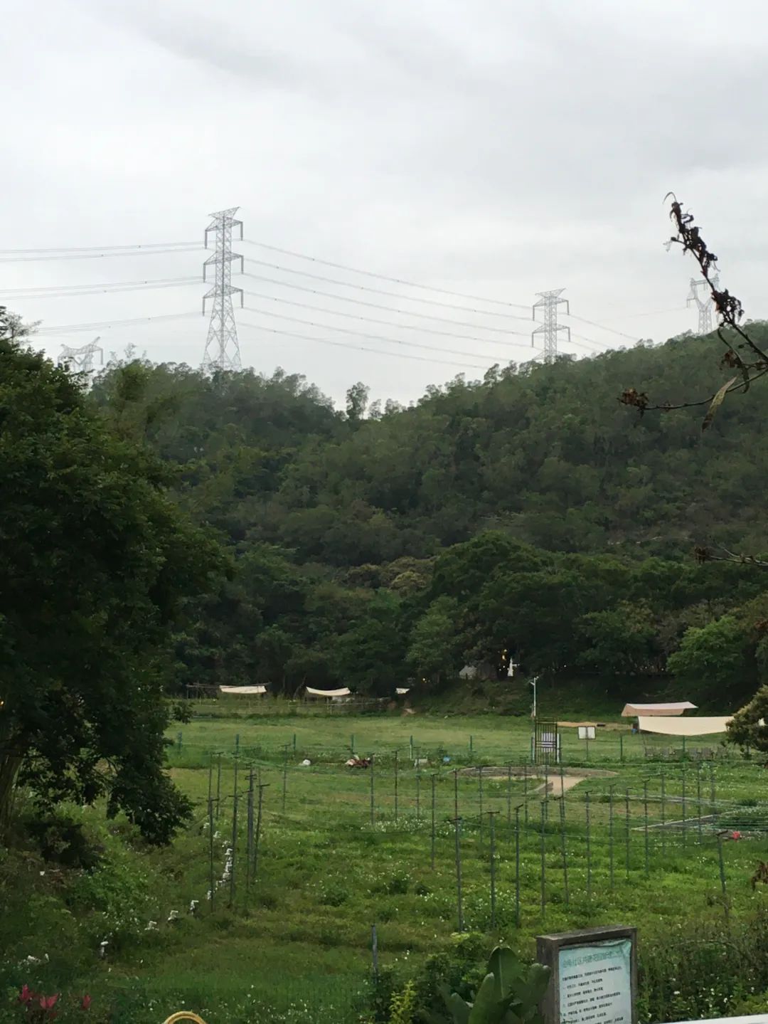 旭光车行雅迪电动车,旭光单车