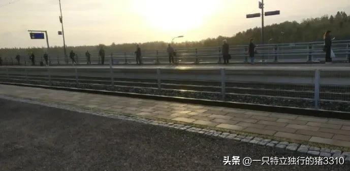 芬兰是个怎样的国度?芬兰浴、抑郁、美女总理