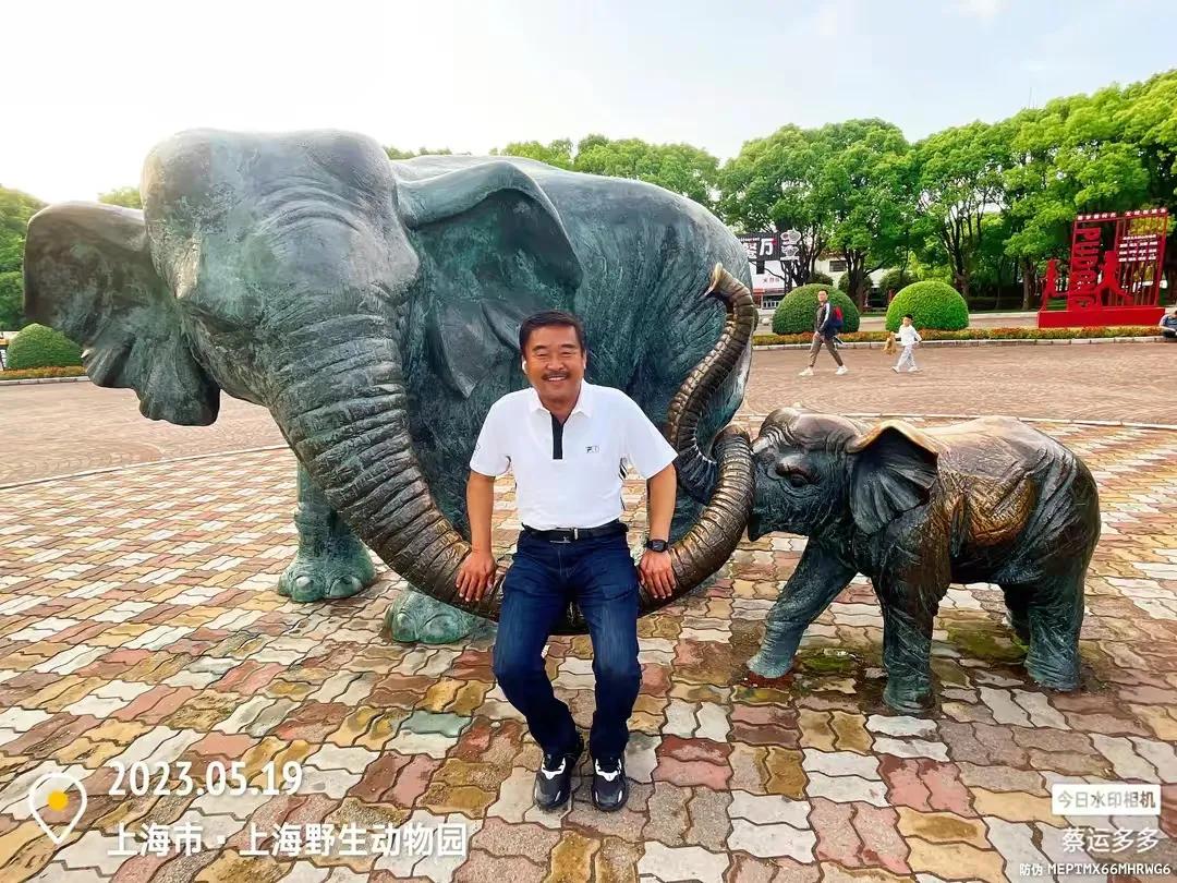 中国最大的野生动物园是哪个城市,中国最大野生动物园