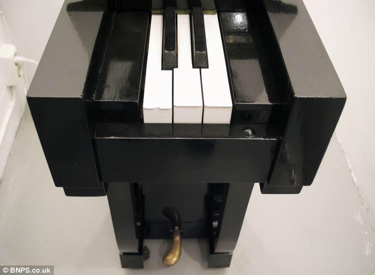 最高的立式钢琴,世界上最大的三角钢琴15尺