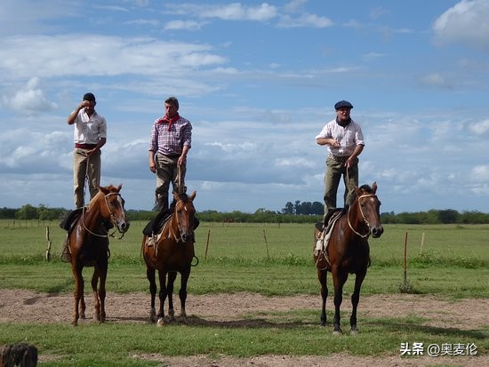 最近几年世界杯战况分析,为什么世界杯都是足球比赛