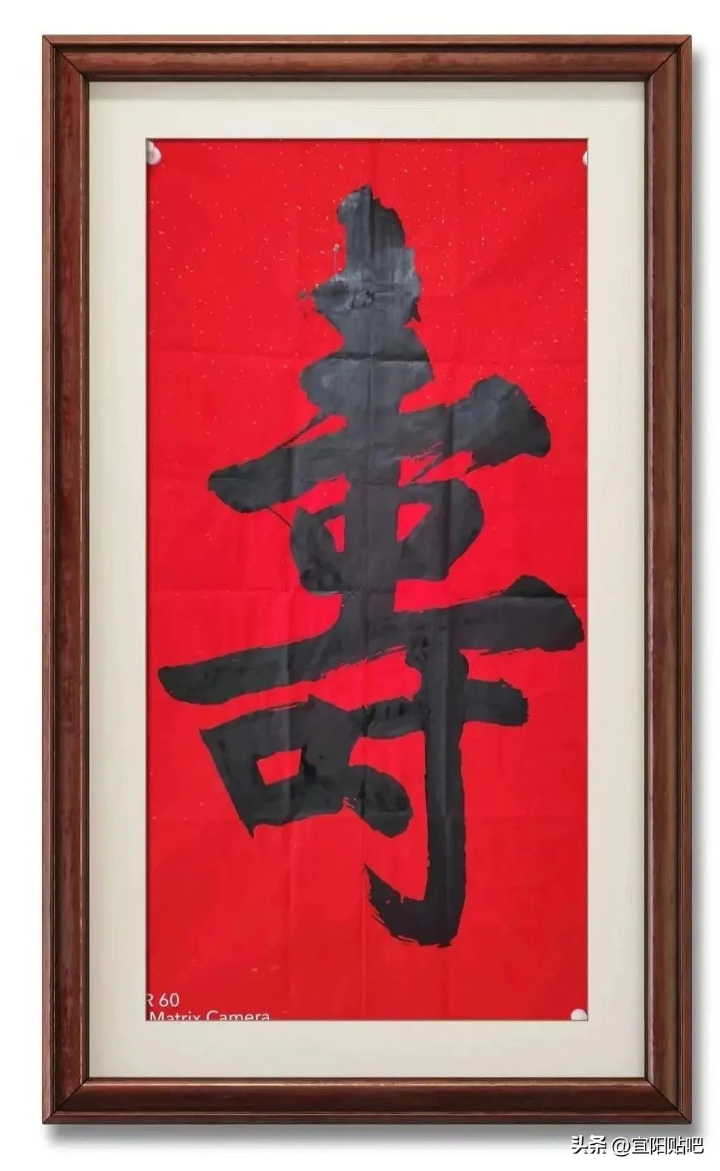 周瑞盈宜阳,宜阳周瑞盈