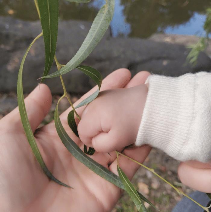 张杰谢娜近期全家福,张杰谢娜带着双胞胎女儿逛商场