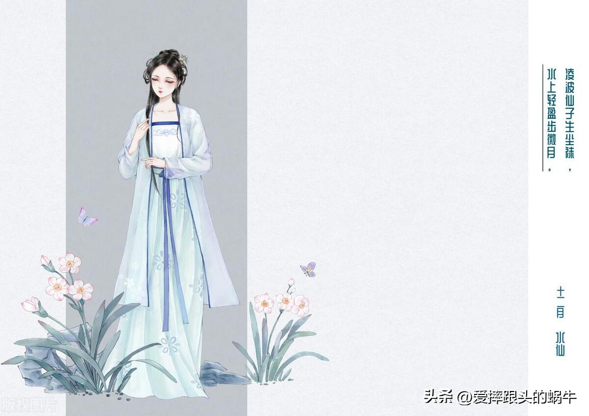 十二花神图谱完整版,工笔画十二花神欣赏