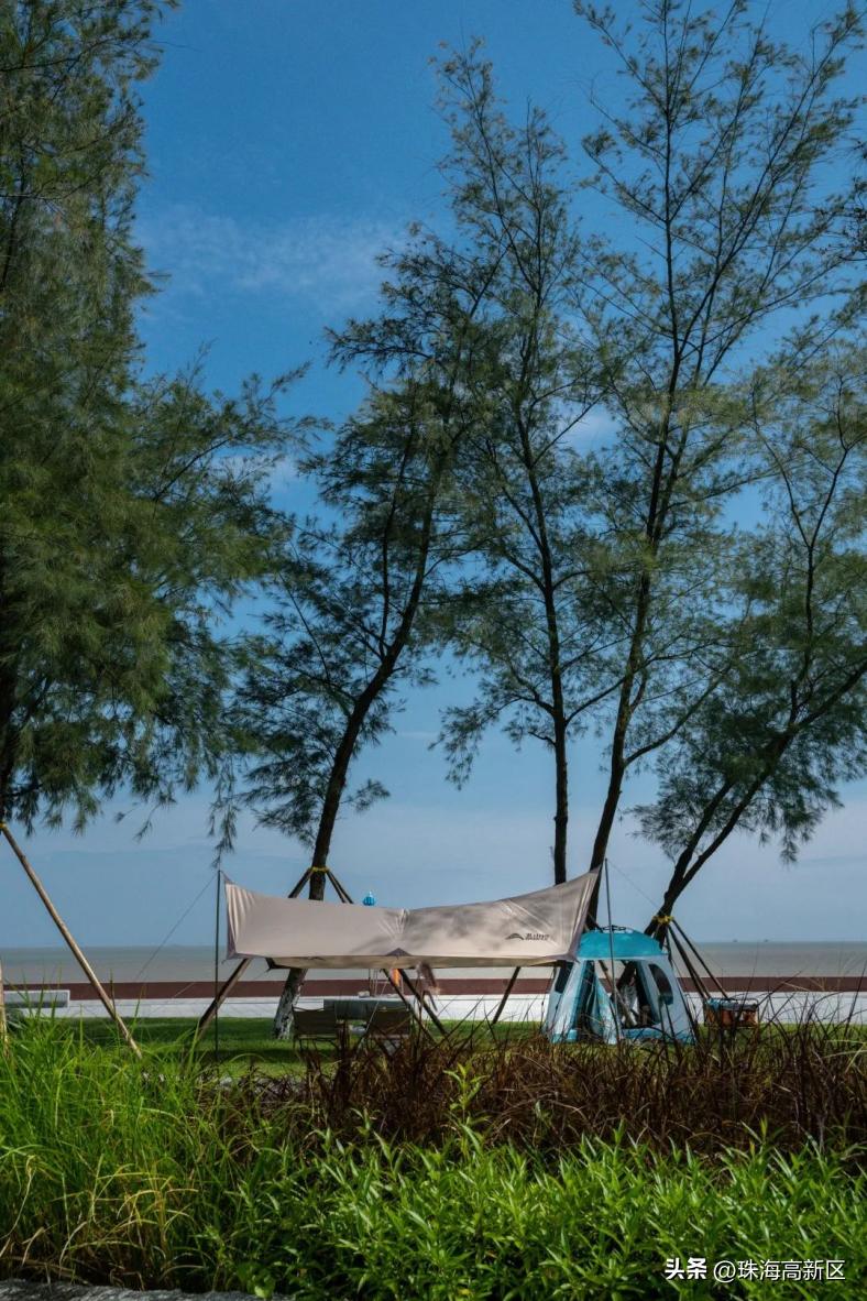 高新附近哪里可以露营,高新区户外露营