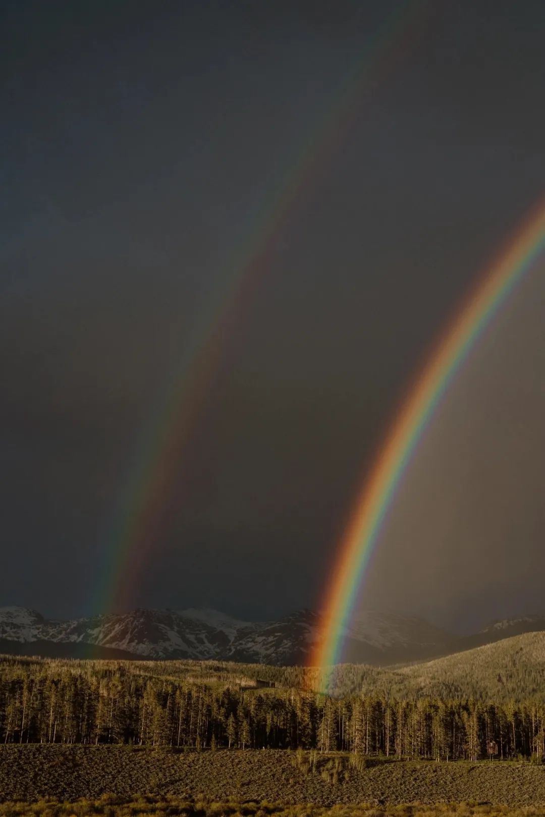 维密天使结婚照,维密天使嫁给谁了