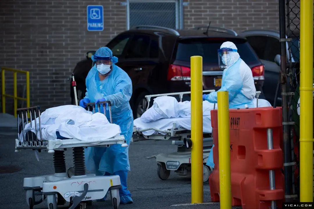 从澳大利亚回国提前多久申请绿码,澳洲回中国入境最新通知